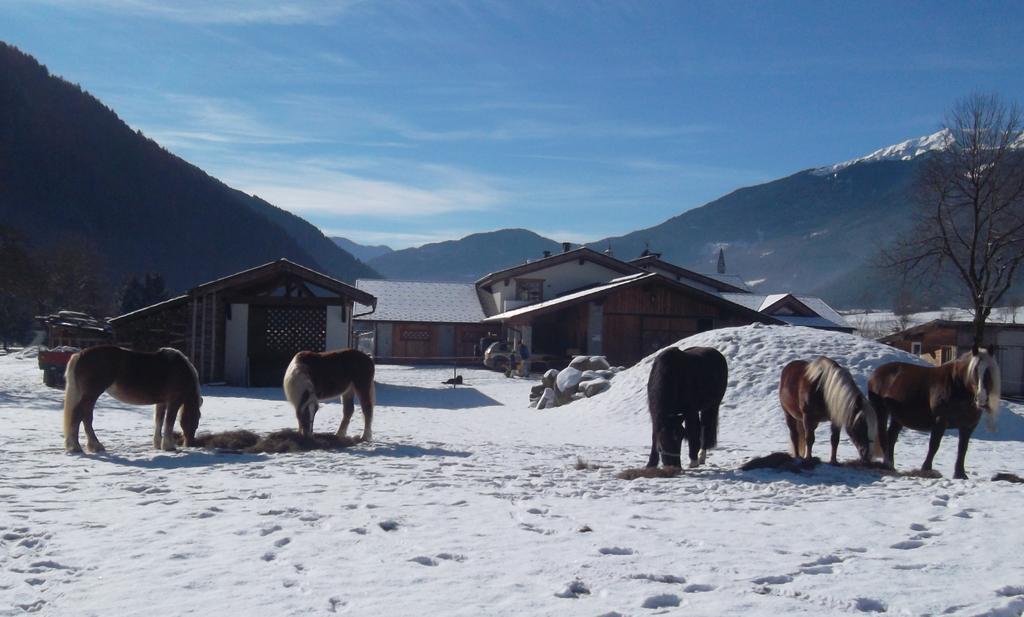 Agriturismo Maso Grisun Borzago Kültér fotó