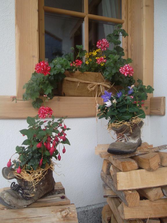 Agriturismo Maso Grisun Borzago Kültér fotó