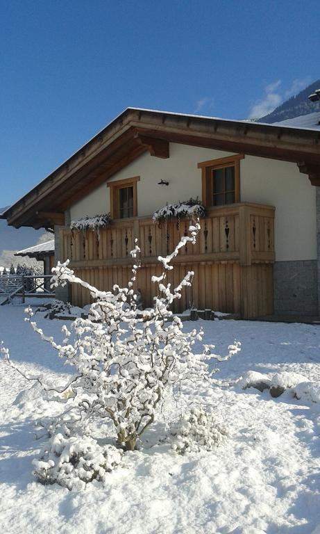 Agriturismo Maso Grisun Borzago Kültér fotó