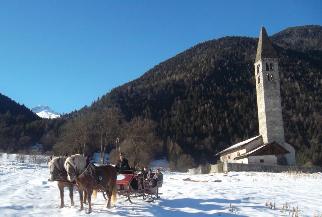 Agriturismo Maso Grisun Borzago Kültér fotó