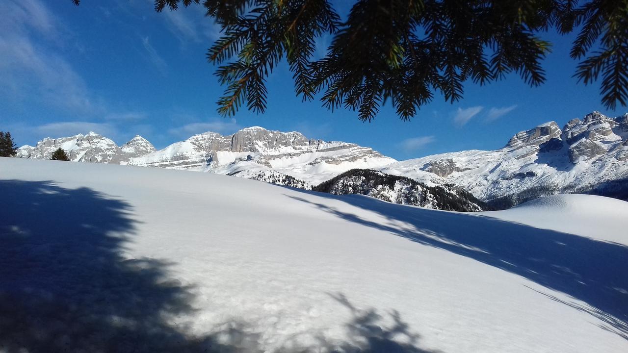 Agriturismo Maso Grisun Borzago Kültér fotó