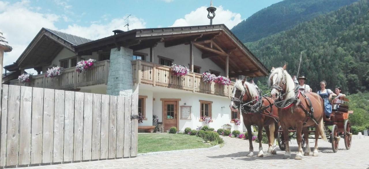 Agriturismo Maso Grisun Borzago Kültér fotó
